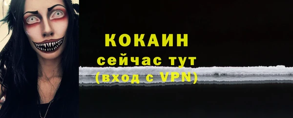 гидра Краснослободск