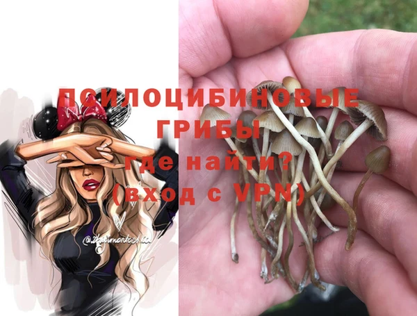 гидра Краснослободск