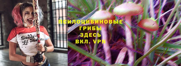 гидра Краснослободск