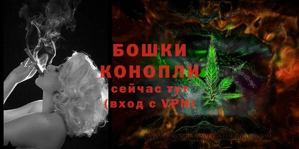 шишки Красноперекопск